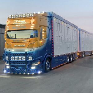 Fribergs Scania NG S